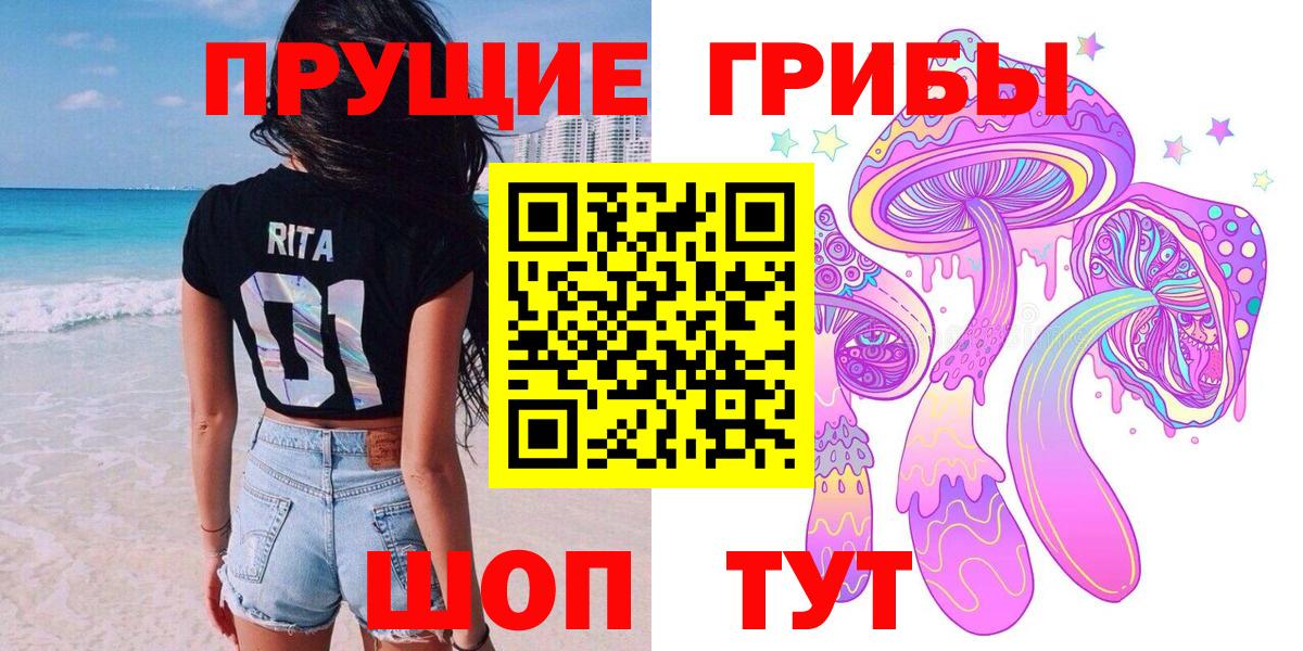 Баксан  продажа наркотиков  Вход с VPN  Псилоцибиновые грибы Psilocybine cubensis 